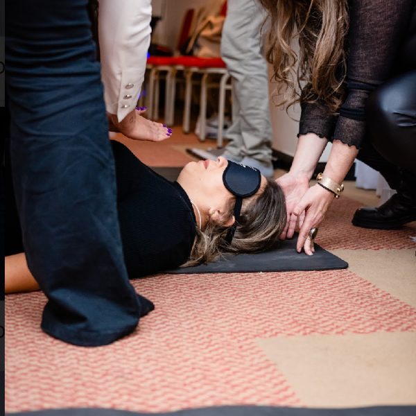 passes-magnetico-para-saude-e-equilibrio-adriana-gonçalves